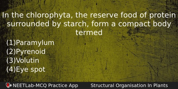 In The Chlorophyta The Reserve Food Of Protein Surrounded By Biology Question 