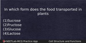 In Which Form Does The Food Transported In Plants Biology Question