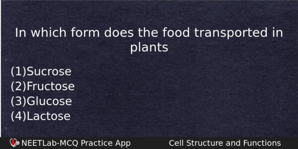 In Which Form Does The Food Transported In Plants Biology Question 