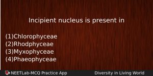 Incipient Nucleus Is Present In Biology Question