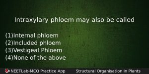 Intraxylary Phloem May Also Be Called Biology Question