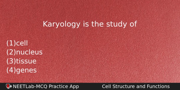 Karyology Is The Study Of Biology Question 