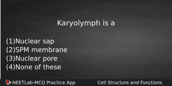 Karyolymph Is A Biology Question 