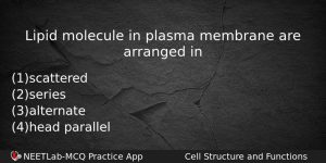 Lipid Molecule In Plasma Membrane Are Arranged In Biology Question