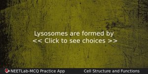 Lysosomes Are Formed By Biology Question