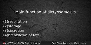 Main Function Of Dictyosomes Is Biology Question