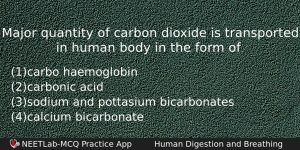 Major Quantity Of Carbon Dioxide Is Transported In Human Body Biology Question