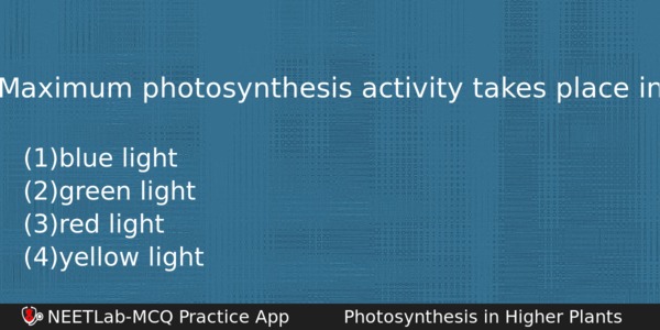 Maximum Photosynthesis Activity Takes Place In Biology Question 