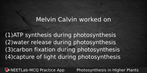 Melvin Calvin Worked On Biology Question