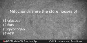 Mitochondria Are The Store Houses Of Biology Question