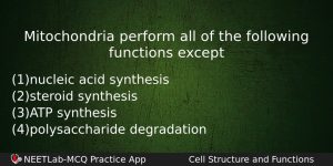 Mitochondria Perform All Of The Following Functions Except Biology Question