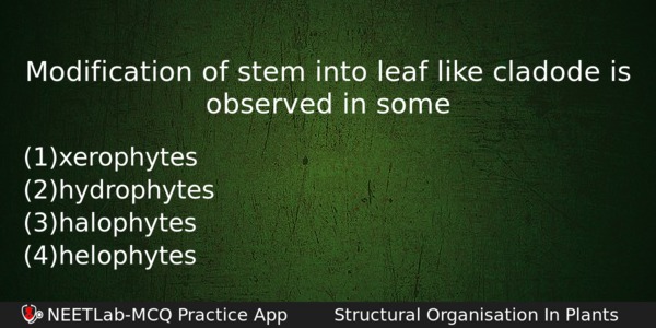 Modification Of Stem Into Leaf Like Cladode Is Observed In Biology Question 