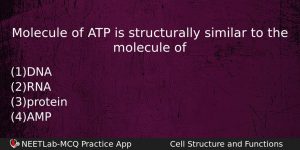 Molecule Of Atp Is Structurally Similar To The Molecule Of Biology Question