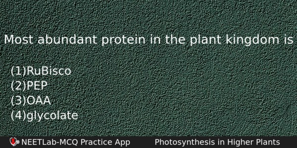 Most Abundant Protein In The Plant Kingdom Is Biology Question 