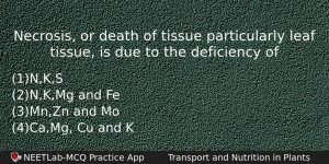 Necrosis Or Death Of Tissue Particularly Leaf Tissue Is Due Biology Question