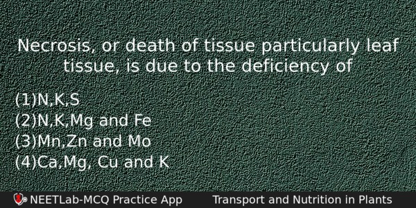 Necrosis Or Death Of Tissue Particularly Leaf Tissue Is Due Biology Question 