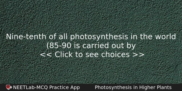Ninetenth Of All Photosynthesis In The World 8590 Is Carried Biology Question 