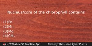 Nucleuscore Of The Chlorophyll Contains Biology Question
