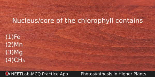 Nucleuscore Of The Chlorophyll Contains Biology Question 