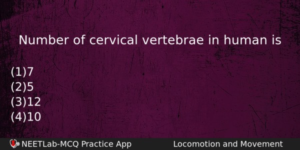 Number Of Cervical Vertebrae In Human Is Biology Question 