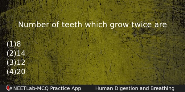 Number Of Teeth Which Grow Twice Are Biology Question 