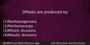 Offsets Are Produced By Biology Question