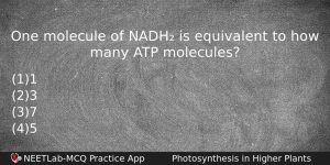 One Molecule Of Nadh Is Equivalent To How Many Atp Biology Question