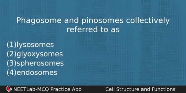 Phagosome And Pinosomes Collectively Referred To As Biology Question 