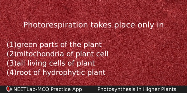 Photorespiration Takes Place Only In Biology Question 