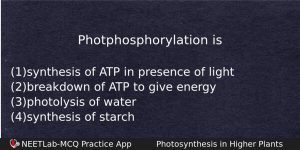 Photphosphorylation Is Biology Question