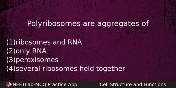 Polyribosomes Are Aggregates Of Biology Question 