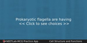 Prokaryotic Flagella Are Having Biology Question