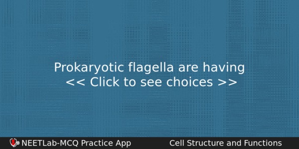 Prokaryotic Flagella Are Having Biology Question 