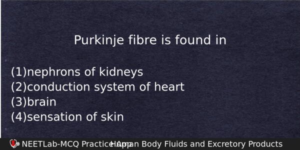 Purkinje Fibre Is Found In Biology Question 