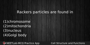 Rackers Particles Are Found In Biology Question