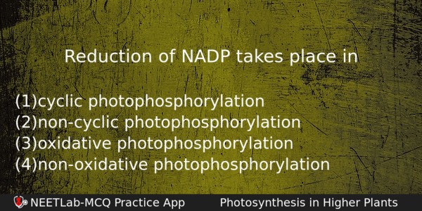 Reduction Of Nadp Takes Place In Biology Question 
