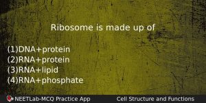 Ribosome Is Made Up Of Biology Question