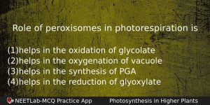 Role Of Peroxisomes In Photorespiration Is Biology Question