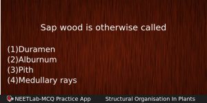 Sap Wood Is Otherwise Called Biology Question
