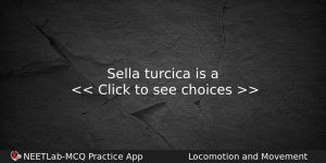 Sella Turcica Is A Biology Question