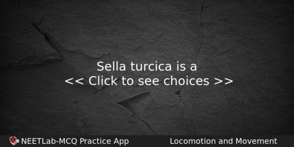 Sella Turcica Is A Biology Question 