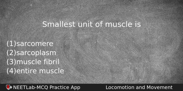 Smallest Unit Of Muscle Is Biology Question 