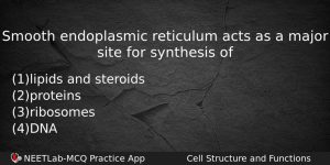 Smooth Endoplasmic Reticulum Acts As A Major Site For Synthesis Biology Question