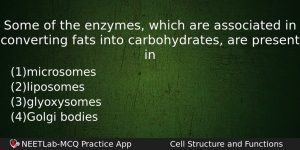 Some Of The Enzymes Which Are Associated In Converting Fats Biology Question