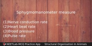 Sphygmomanometer Measure Biology Question