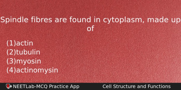 Spindle Fibres Are Found In Cytoplasm Made Up Of Biology Question 