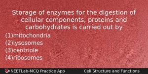 Storage Of Enzymes For The Digestion Of Cellular Components Proteins Biology Question