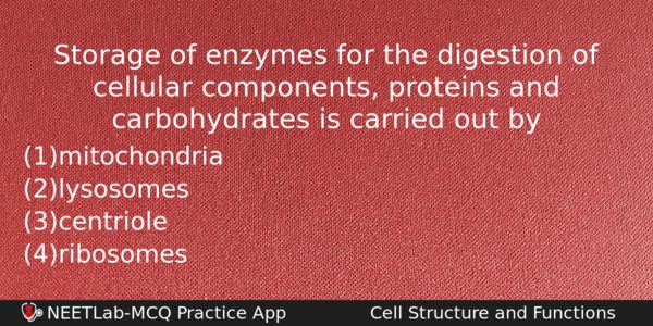Storage Of Enzymes For The Digestion Of Cellular Components Proteins Biology Question 