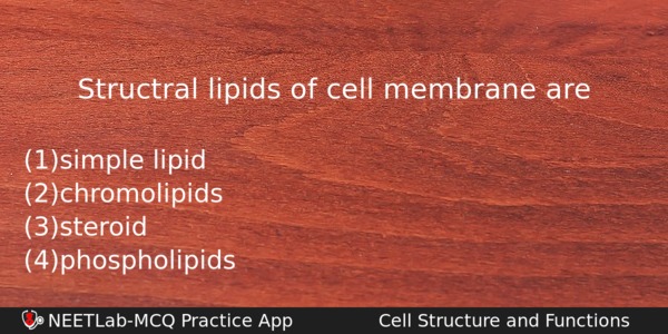 Structral Lipids Of Cell Membrane Are Biology Question 