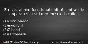Structural And Functional Unit Of Contractile Apparatus In Striated Muscle Biology Question